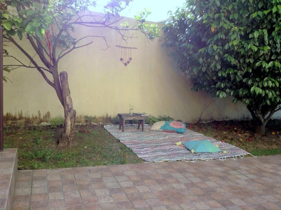 Myninho Villa Vila Nova de Gaia Bagian luar foto